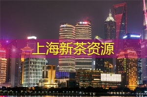 上海新茶工作室微信：上海小伙子的迷失与寻找